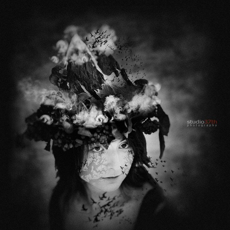 Terra Incognita фото превью