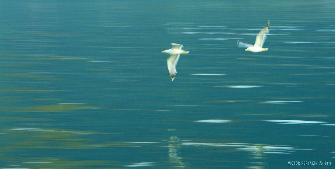 , Виктор Перякин