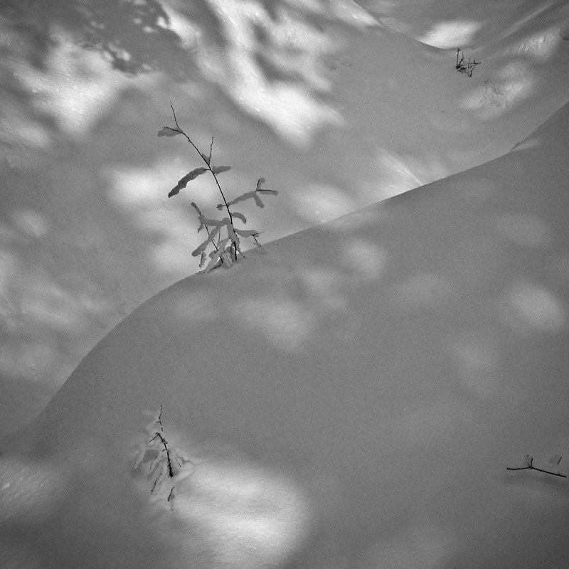 ... фото превью