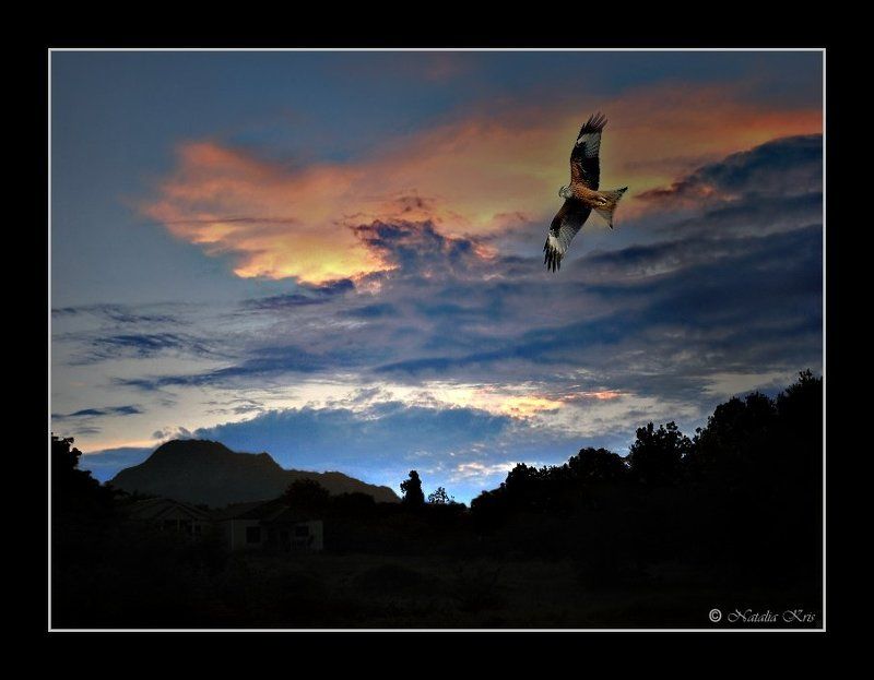 Ночной дозор фото превью