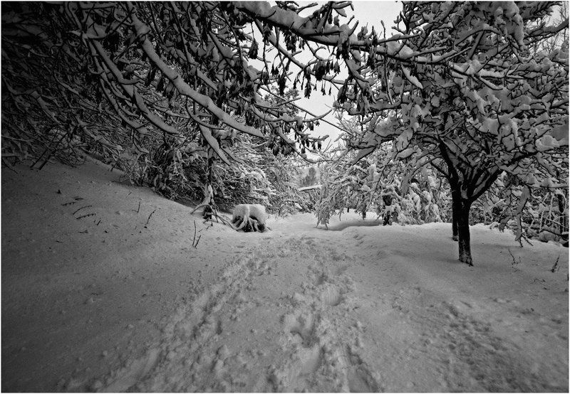 *** фото превью