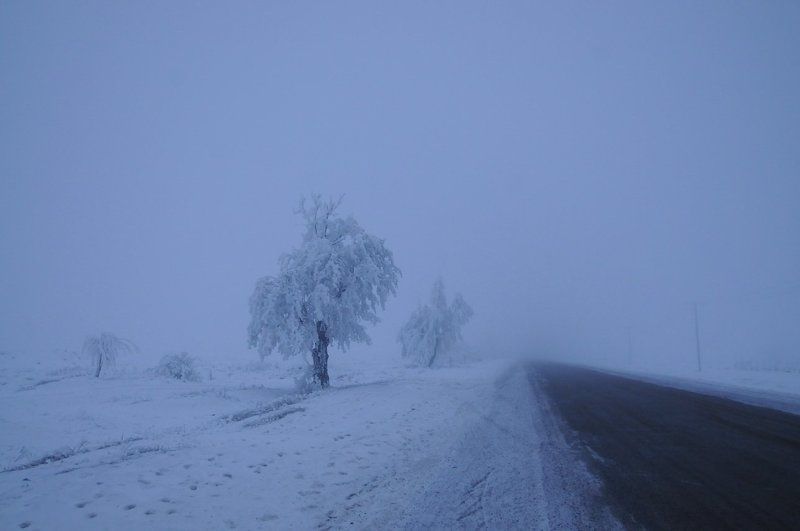Дорога в сказку фото превью