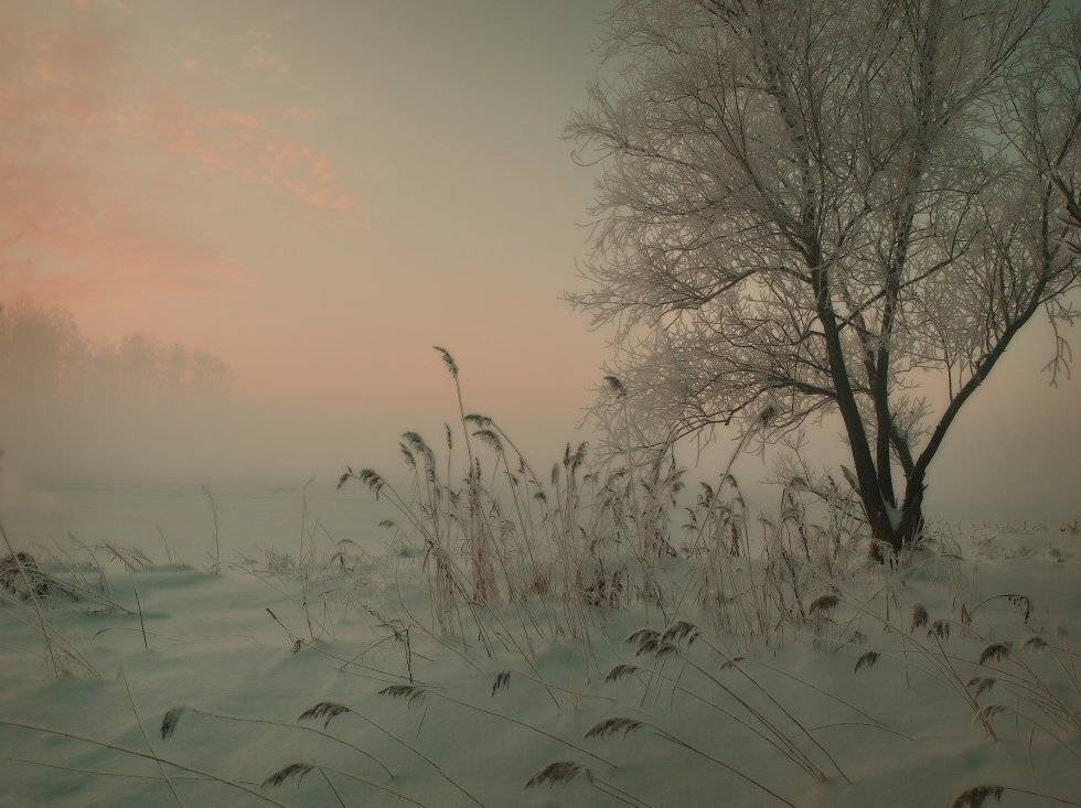 , Владимир Липецких