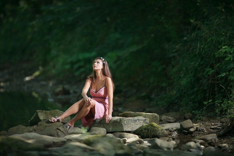 лесные... фото превью