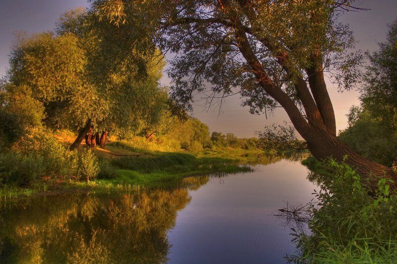 # фото превью