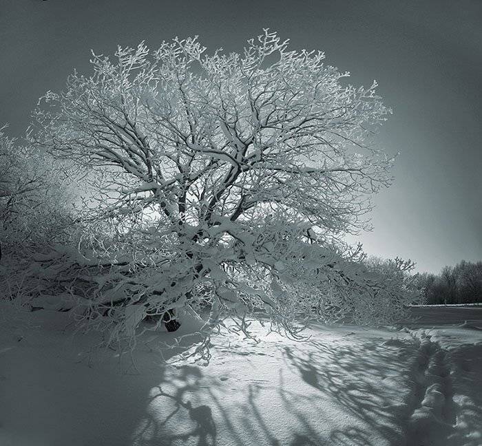 , Эдуард VTORNIK  Николаев