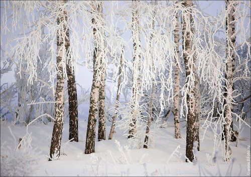 Февральская