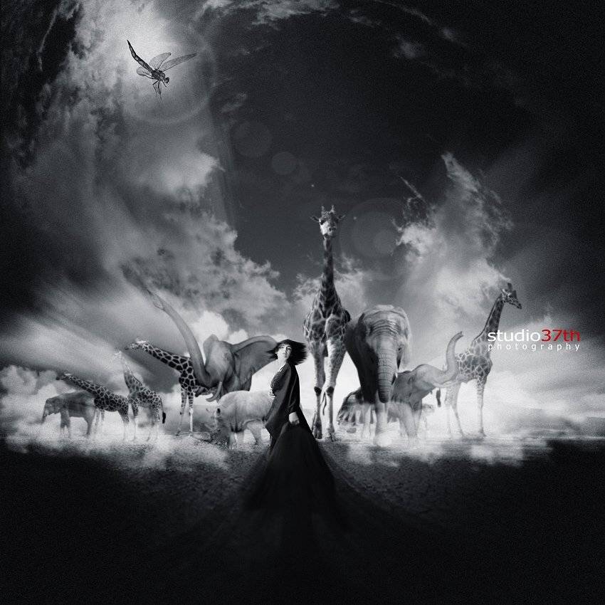 , Alexander Mikhailenko