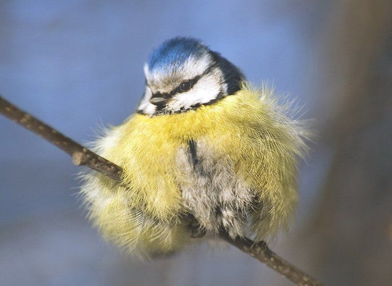 -27 фото превью