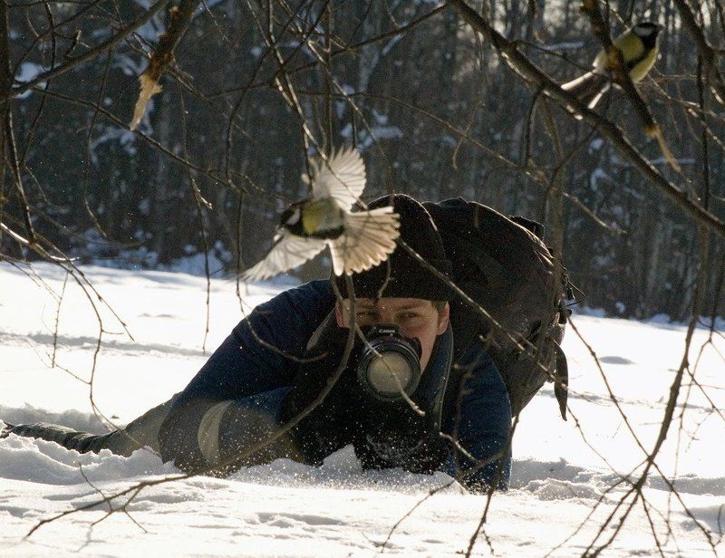 в засаде фото превью