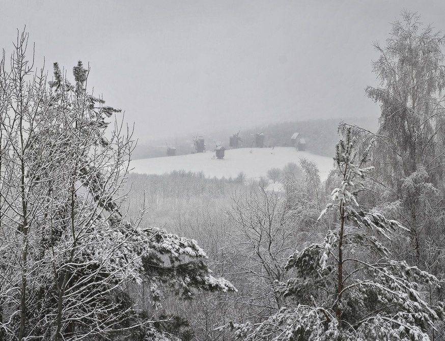 , Михаил Мочалов