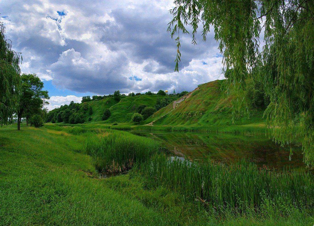 косогоры, Tina Grach