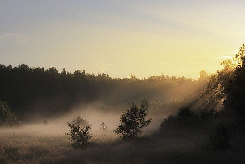 # фото превью