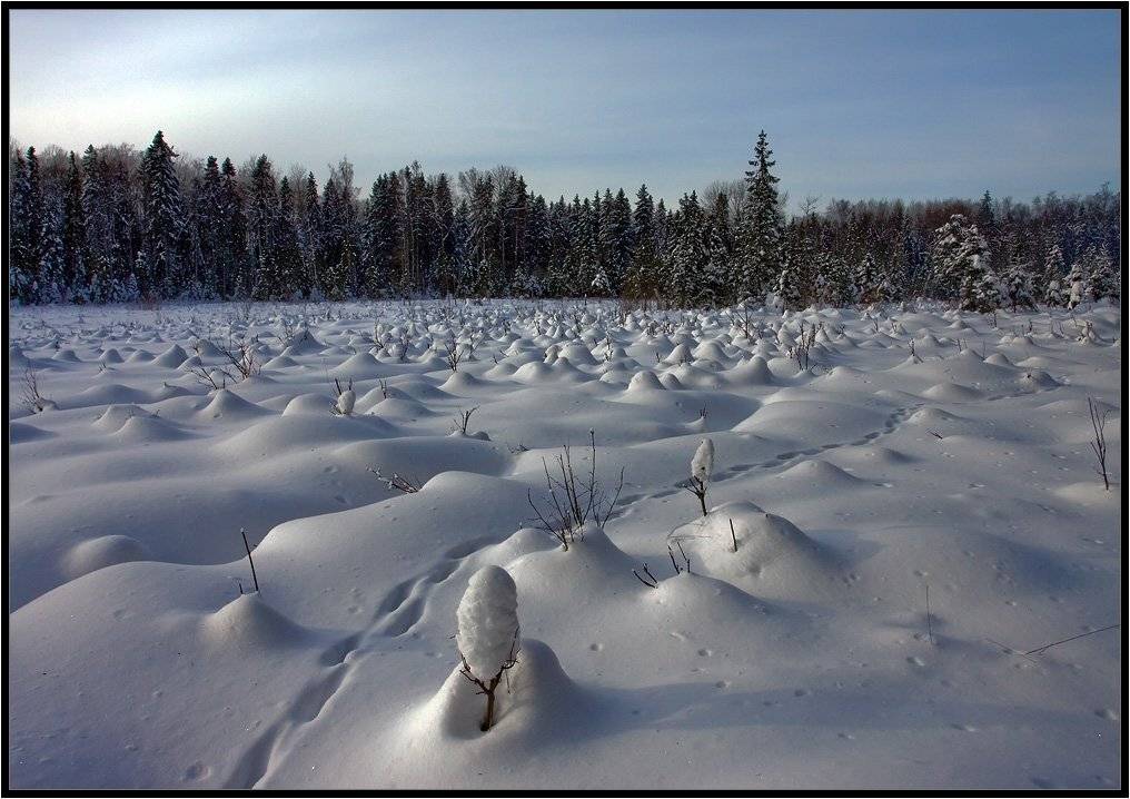 , Александр Нагибин