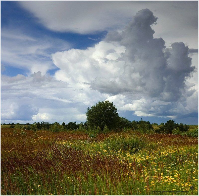 Гроза над красной травой фото превью