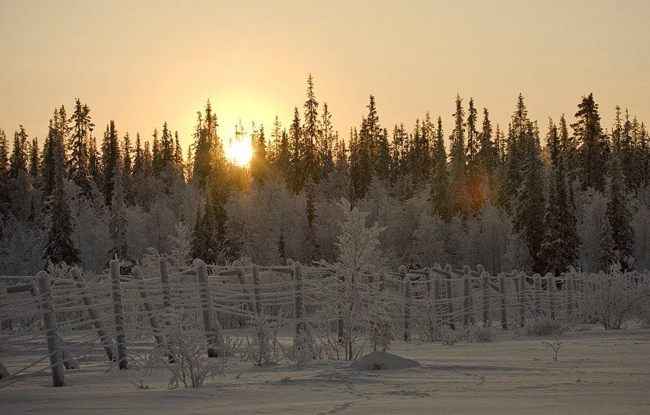 солнце, зима, кольский, полуостров, январь, locus