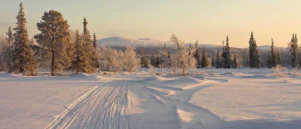 зима, кольский, полуостров, locus