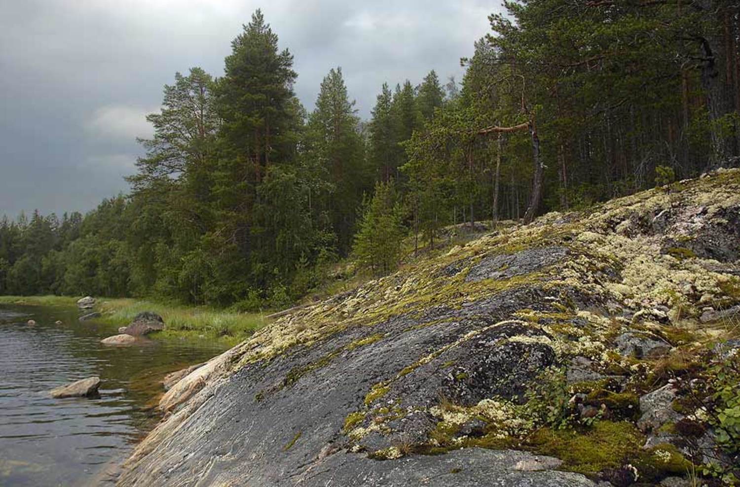 , Юрий Охлопков