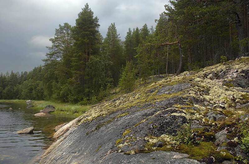 Хмурый день на Белом море фото превью