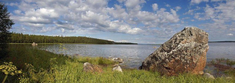 Кислая губа фото превью