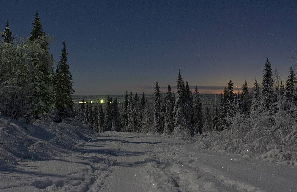 ночь, зима, кольский, полуостров, locus