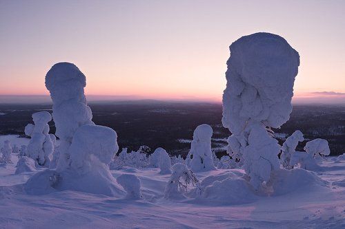 Днесь на Лысой 2