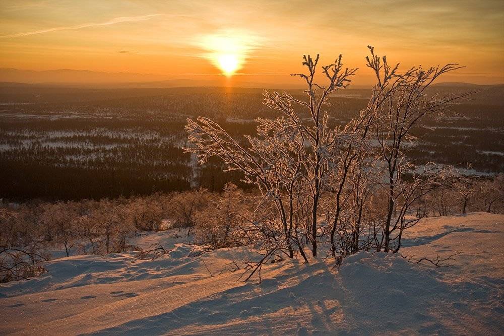 закат, кольский, полуостров, зима, солнце, locus