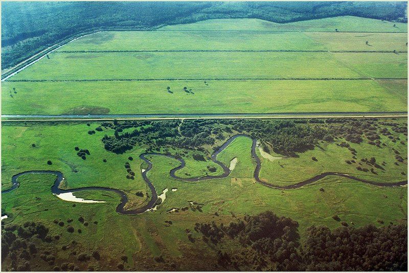 Прямые и не очень... фото превью