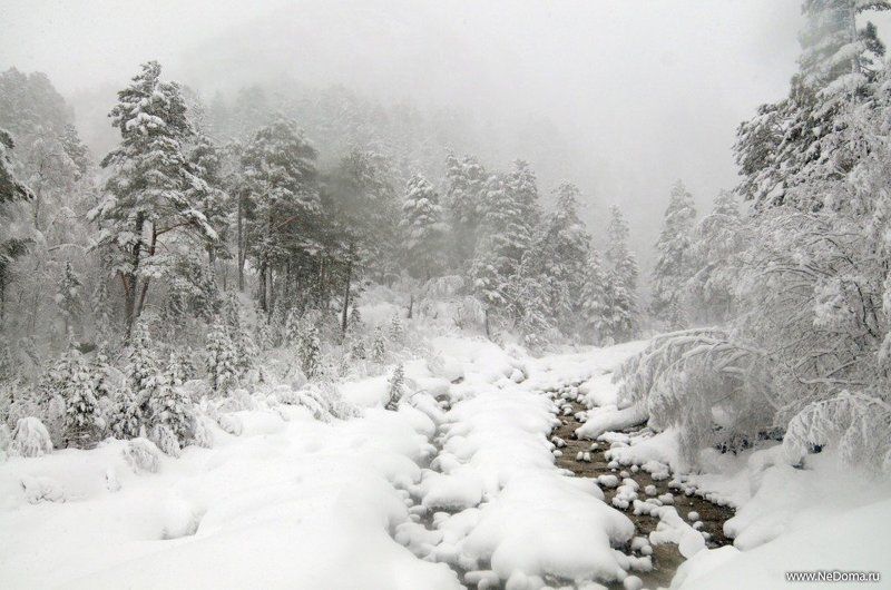 Зимний ручей фото превью