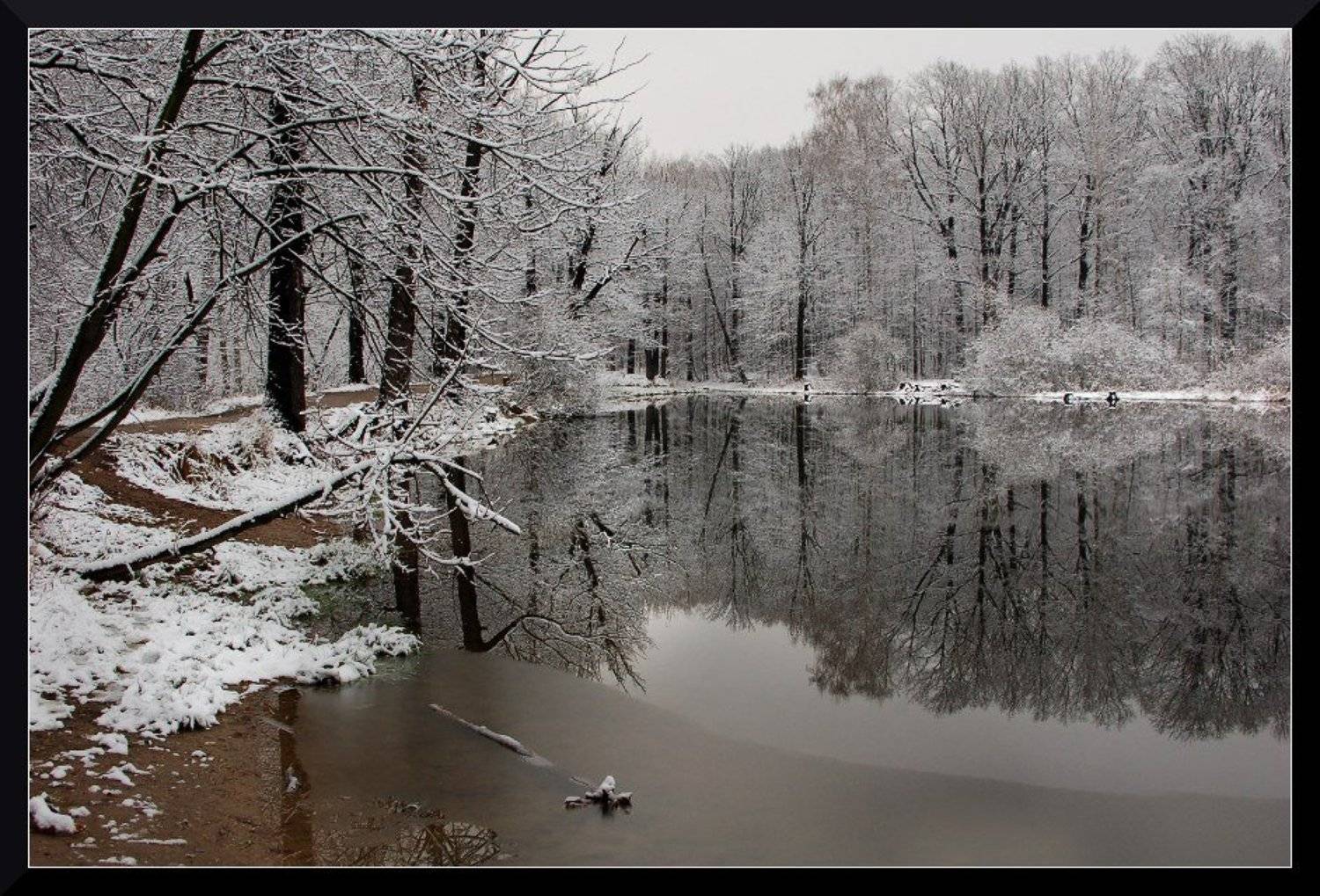 , &bull;**/ASSOL**&bull;