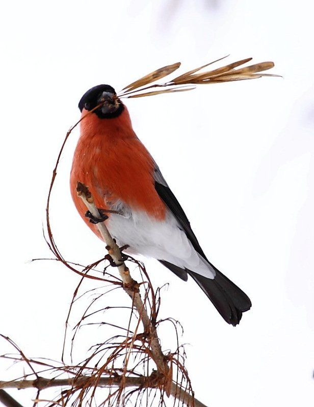 На свидание фото превью