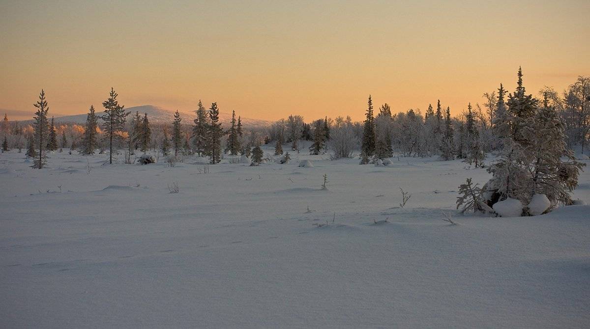 север, зима, кольский, полуостров, locus