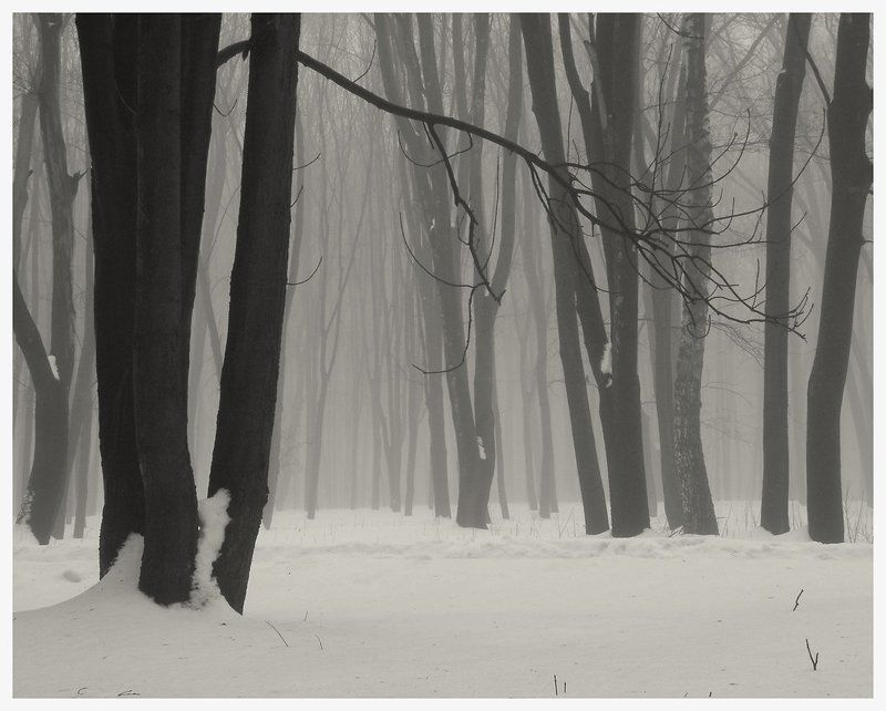 * * * фото превью