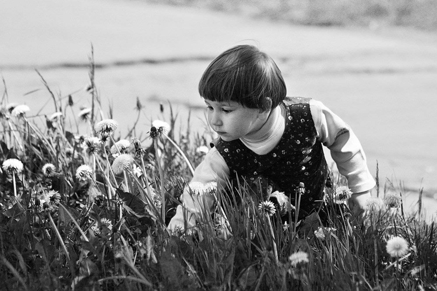 дети, цветы, nadyk