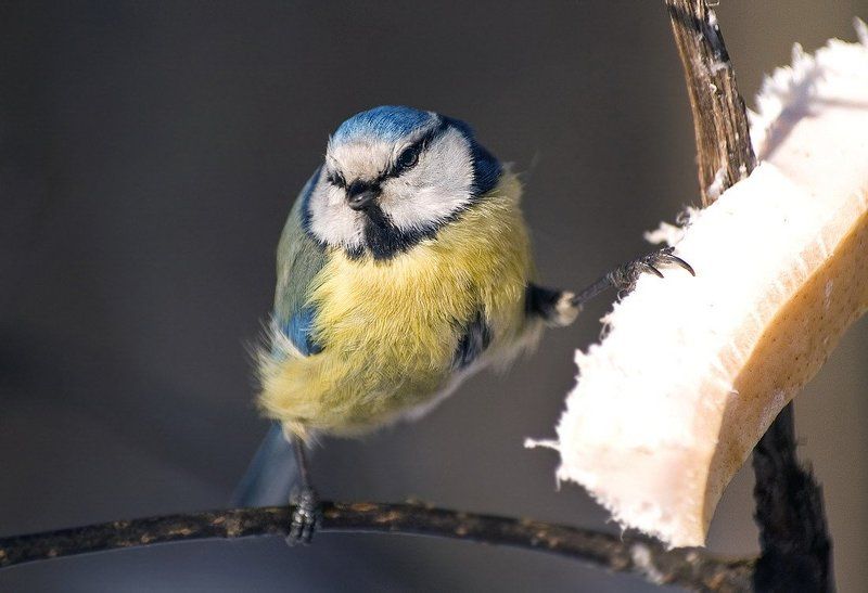 Моё!!! фото превью