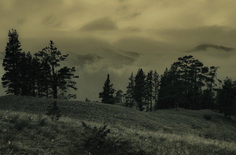 ***** фото превью