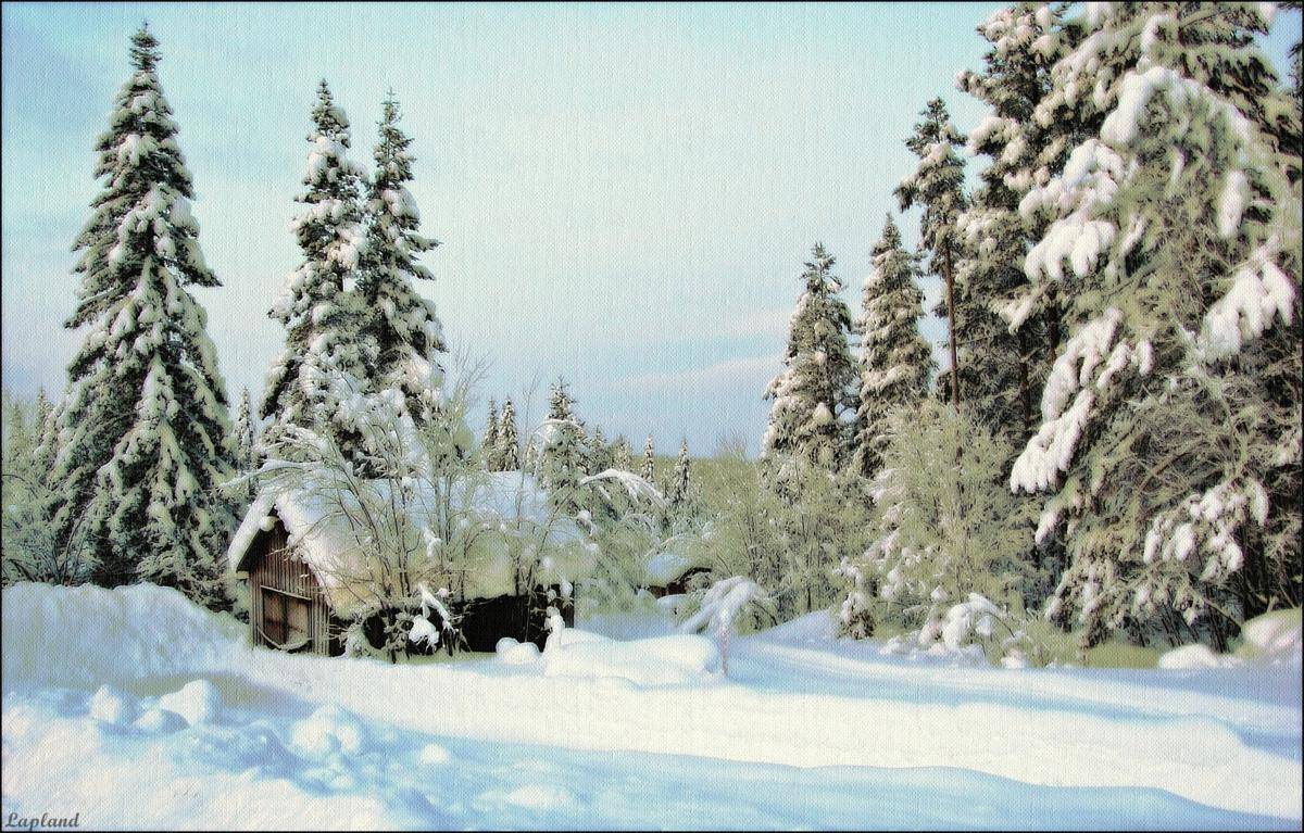 , Елена