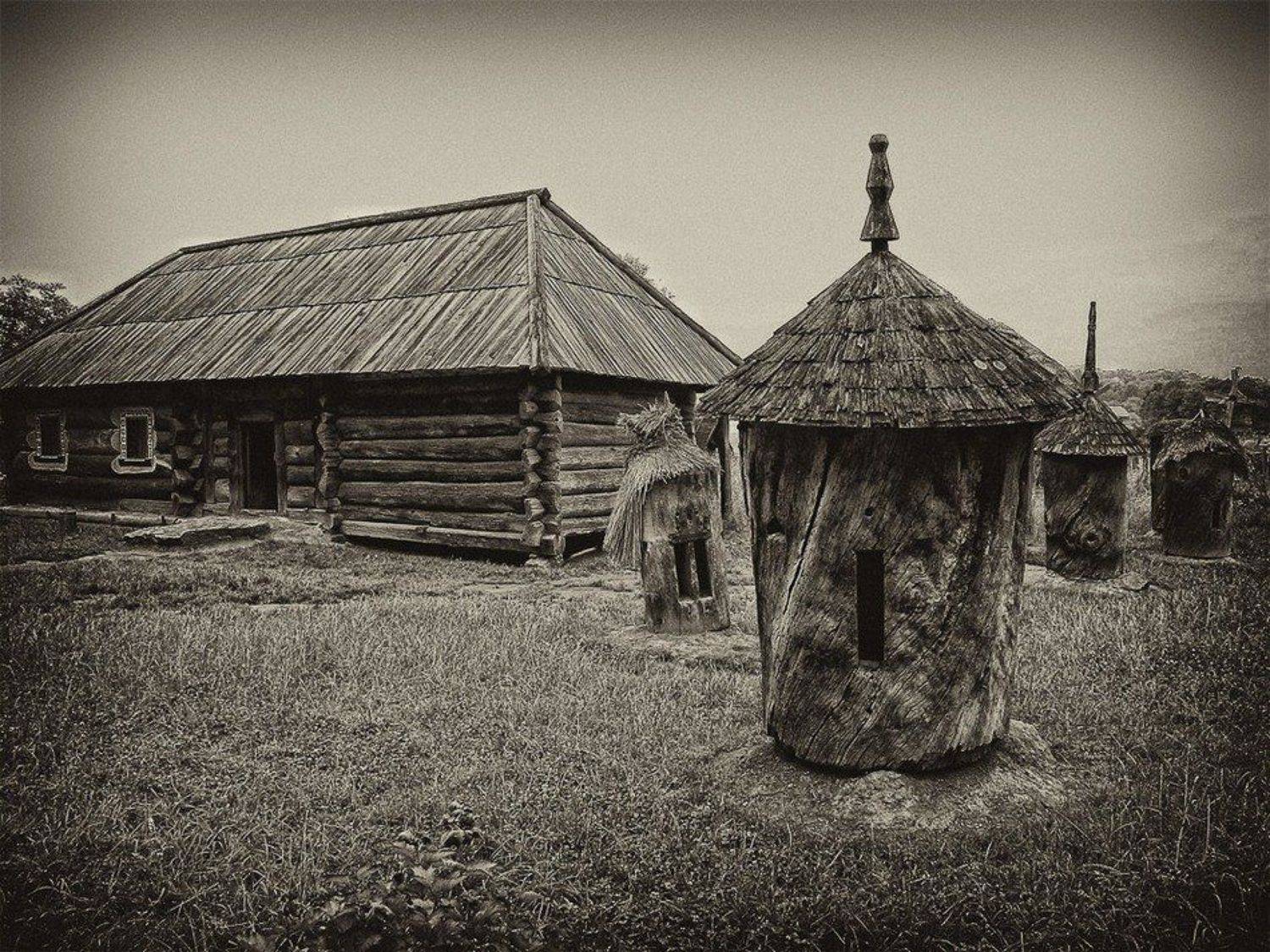 музей, пирогово, украина, Игорь Шевченко