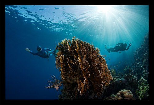 Заходим слева, заходим справа - загоняем?  Загоняем!