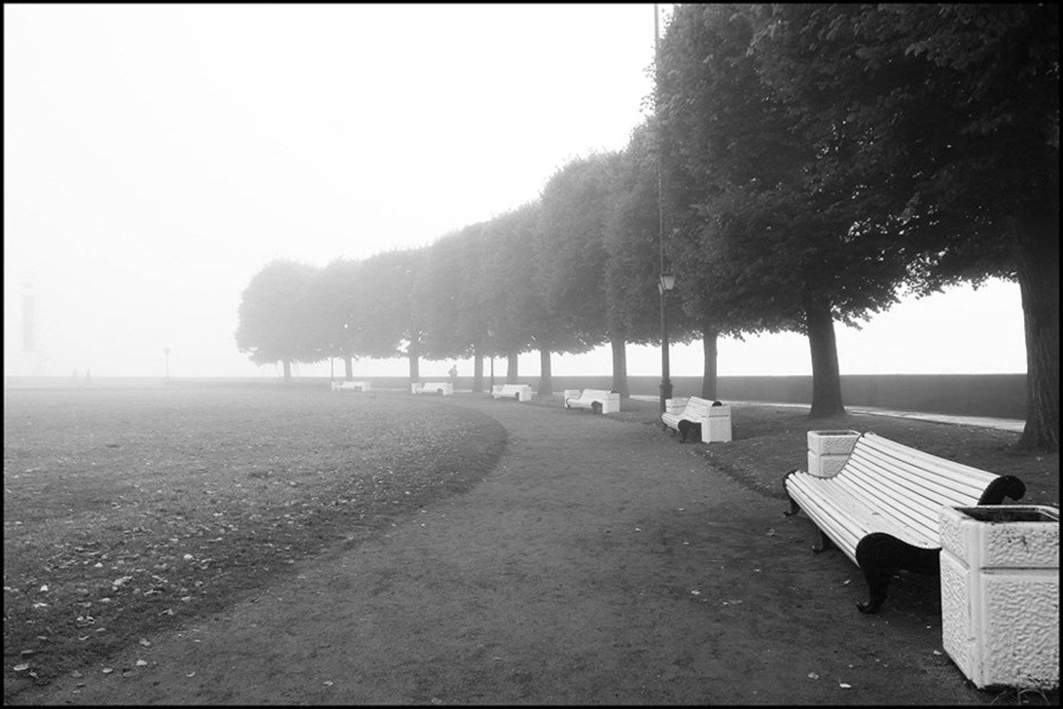 санкт-петербург,стрелка,туман,пейзаж, isazonov