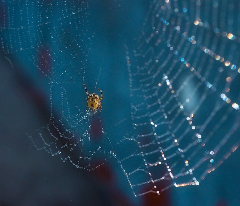 ювелир фото превью