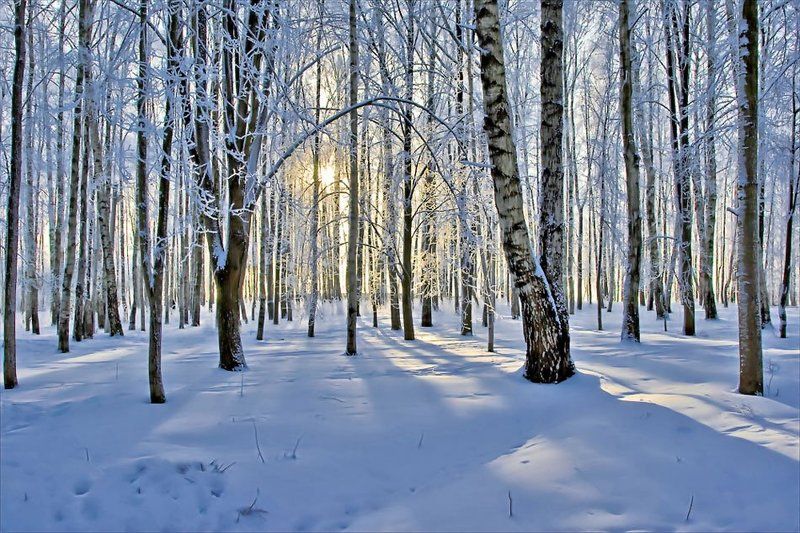 январь 2010 фото превью