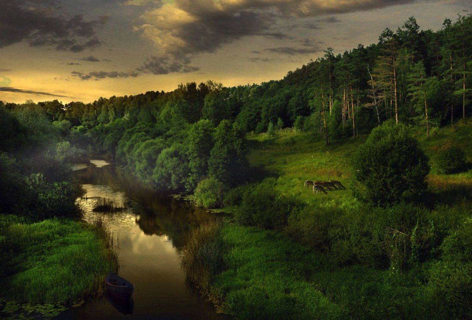 , Алпатов Игорь