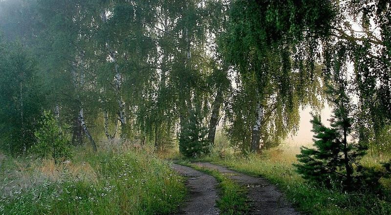 утро, Утро доброго дня фото превью