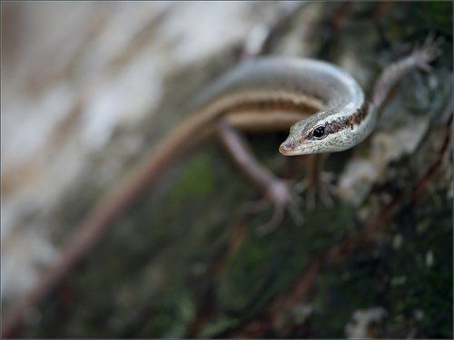 Да! Вот такая я!