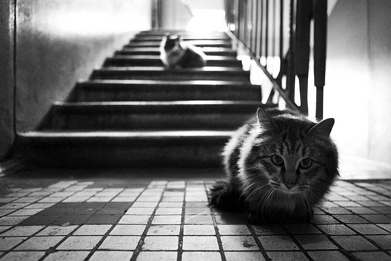 , Максим Юлдашев(maximyuldashev.ru)