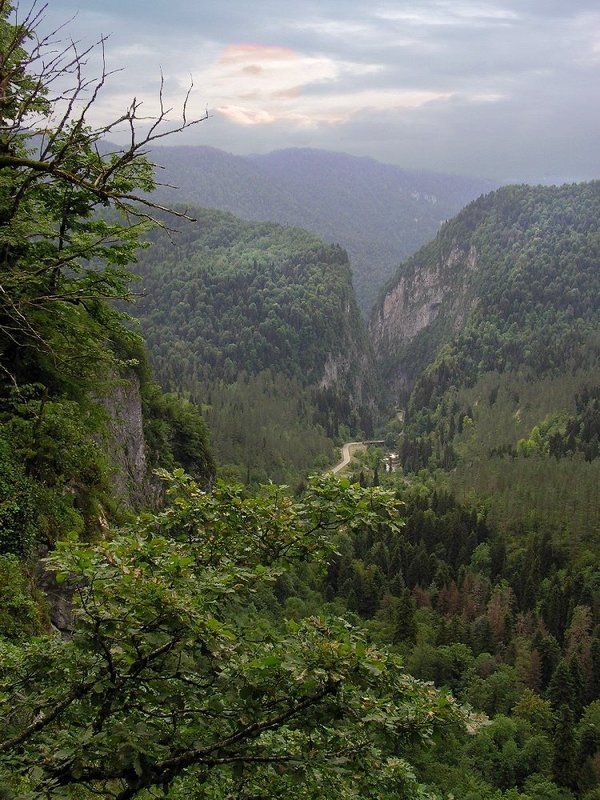 пейзаж В глубоком ущелье, в высоких горах... Ищи мое сердце фото превью