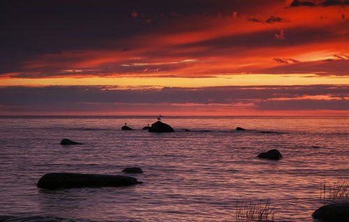 Перед рассветом