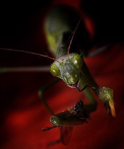 а кухня у вас хороша!!