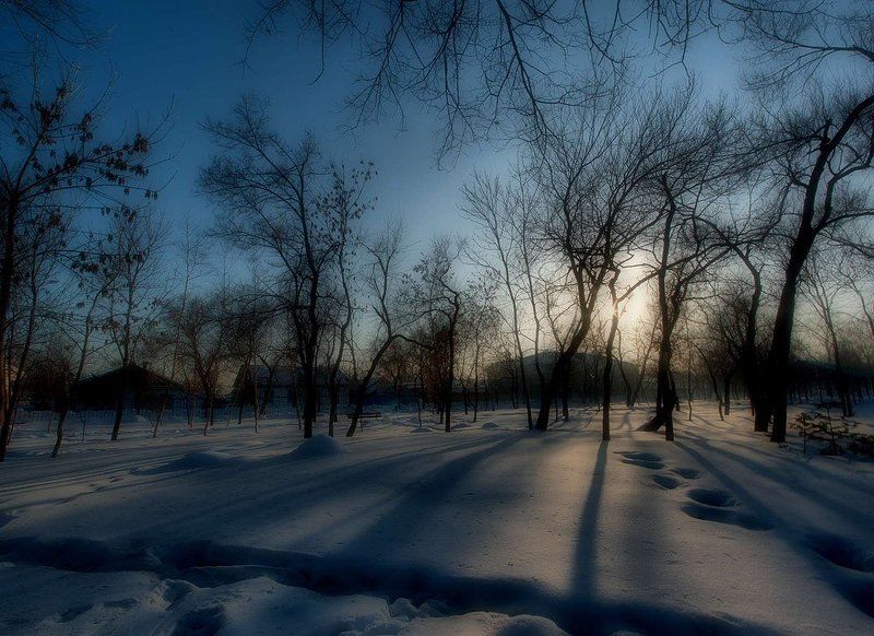 уссурийск, дора, парк, город \